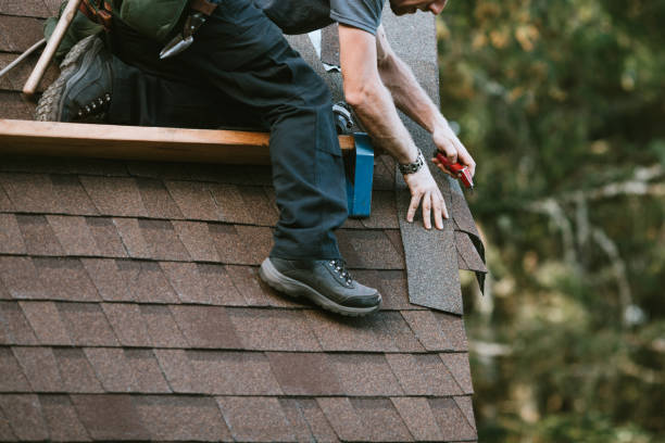 Best Storm Damage Roof Repair  in Greenville, TX